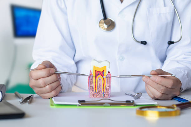 Best Emergency Root Canal Treatment in Lopezville, TX